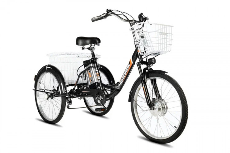 Электровелосипед РВЗ Чемпион 24 складной в Перми