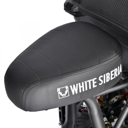 Электроскутер White Siberia TRIKE MINI 1500W в Перми