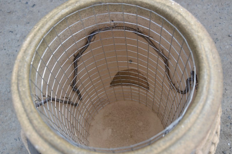 Тандыр Электрический Малый в Перми