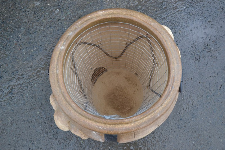 Тандыр Электрический Баран в Перми