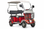 Пассажирский электротрицикл Rutrike Gelbert Hara в Перми