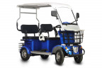 Пассажирский электротрицикл Rutrike Gelbert Hara в Перми