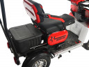 Пассажирский электротрицикл Rutrike Gelbert Lich в Перми