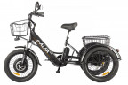 Электрофэтбайк Eltreco Green City e-ALFA Trike в Перми