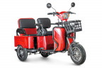 Пассажирский электротрицикл Rutrike Gelbert Tuban в Перми