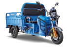 Грузовой электрический трицикл RuTrike Дукат 1500 в Перми