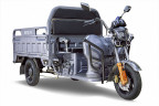 Грузовой электрический трицикл RuTrike Дукат 1500 в Перми